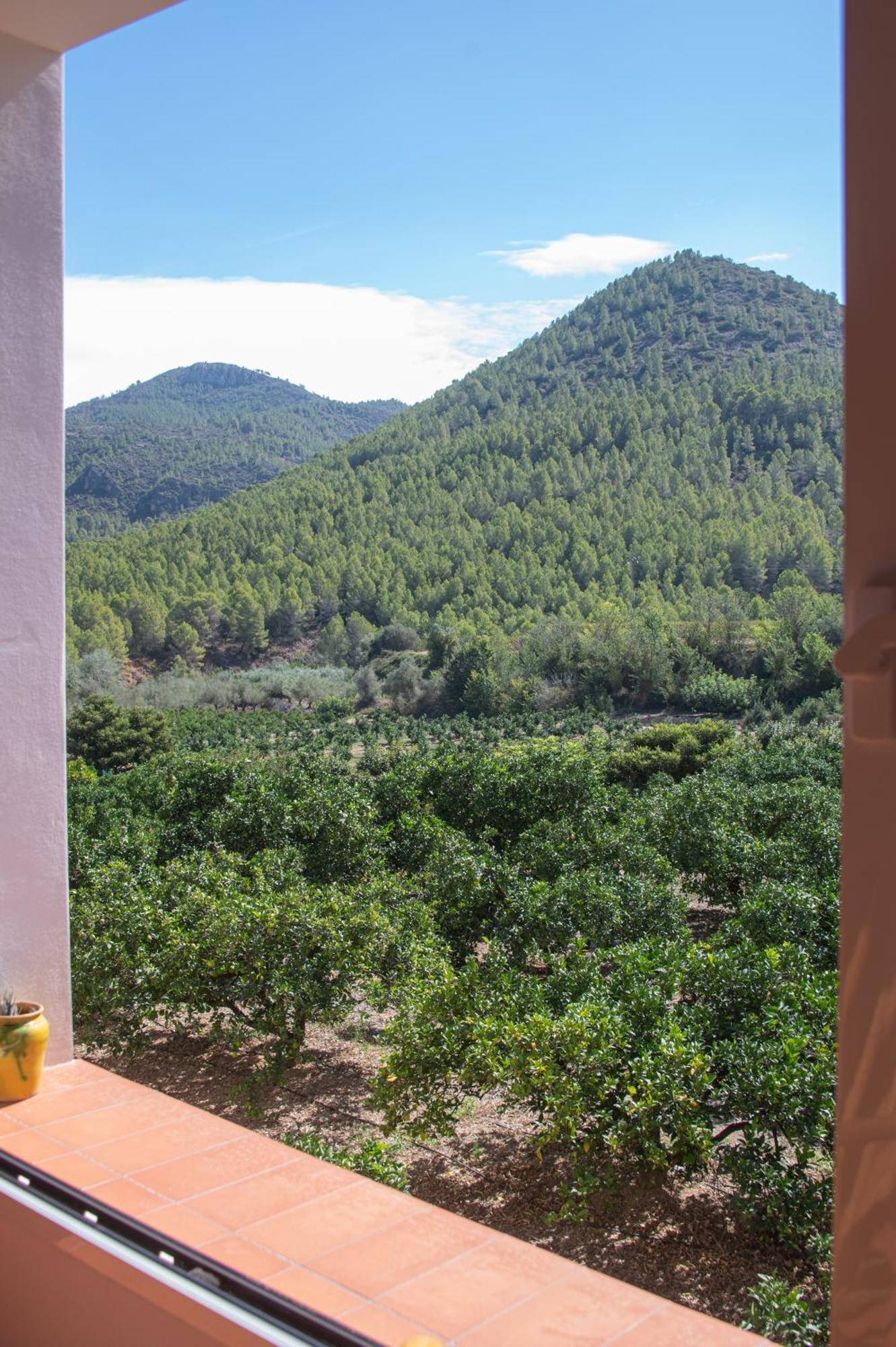 L'Almassera - Chimenea Y Montana Para Grupos En Aielo De Rugat Ayelo de Rugat Εξωτερικό φωτογραφία